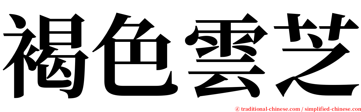 褐色雲芝 serif font