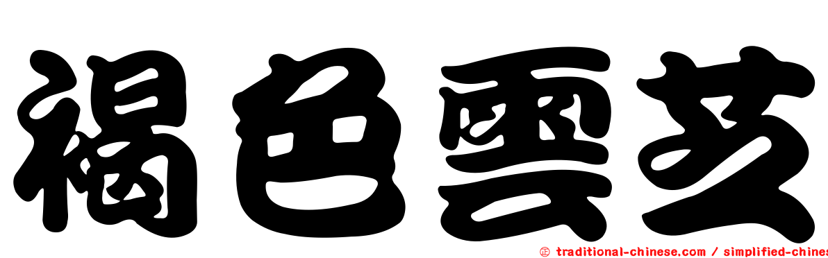 褐色雲芝