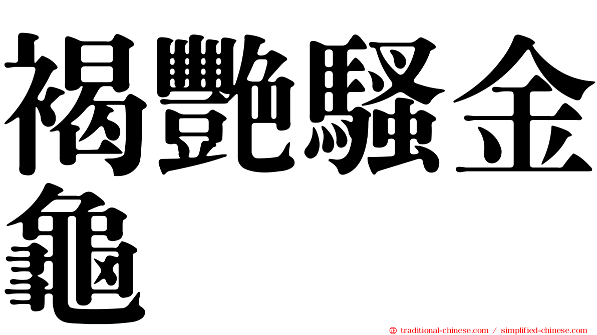 褐艷騷金龜