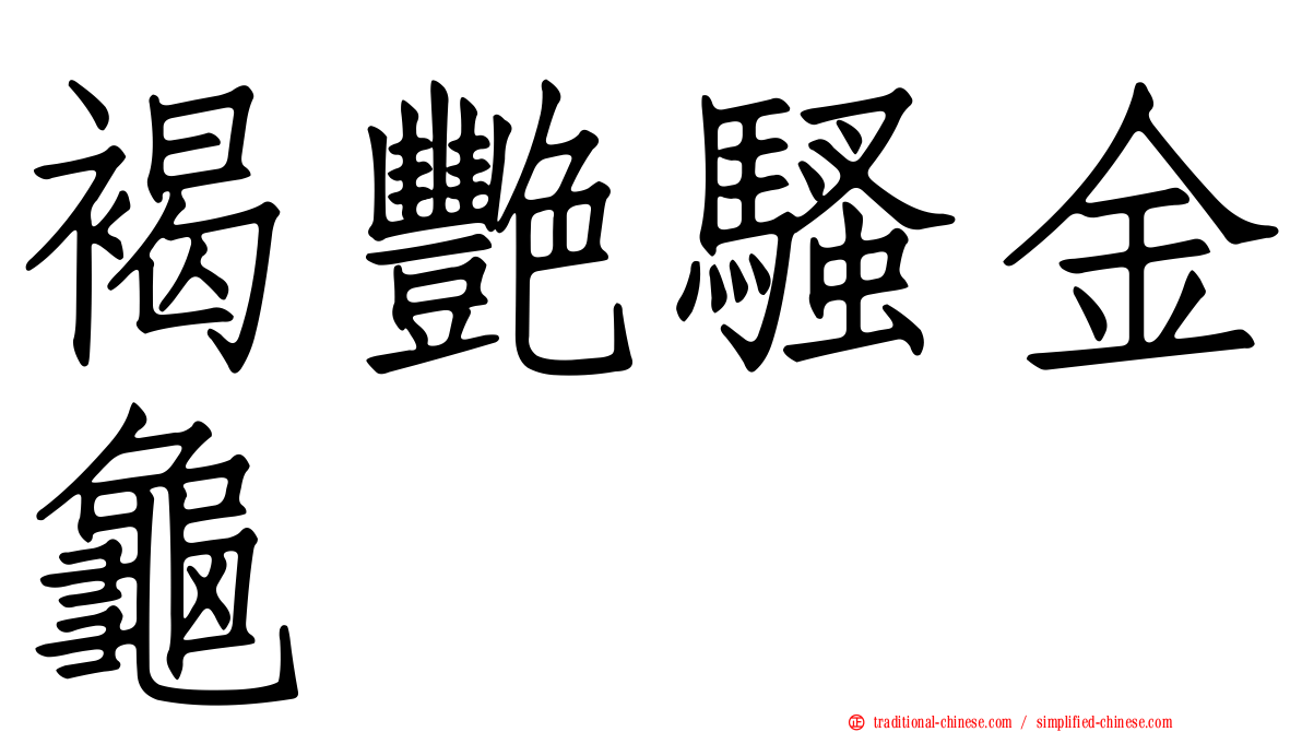 褐艷騷金龜