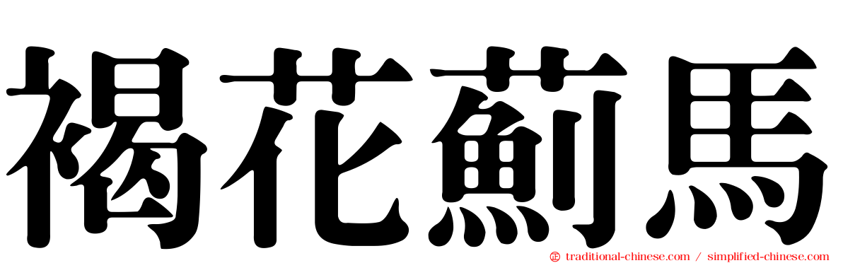 褐花薊馬
