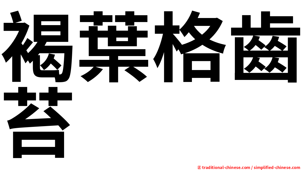 褐葉格齒苔