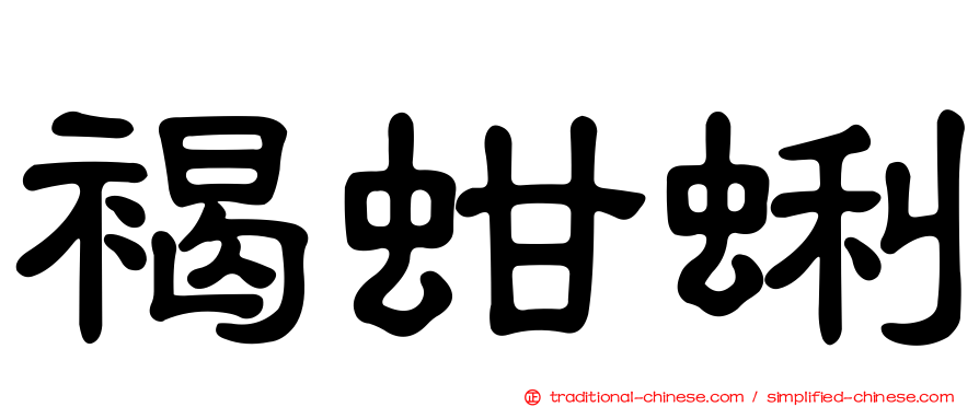 褐蚶蜊