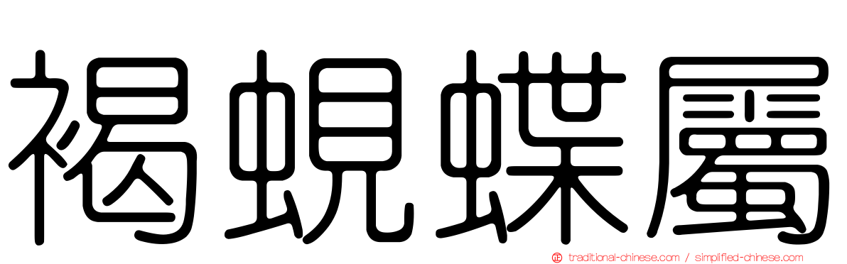 褐蜆蝶屬