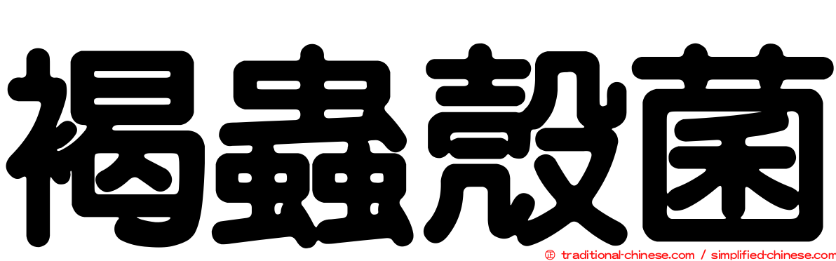 褐蟲殼菌