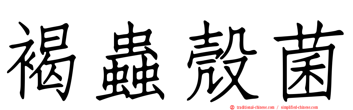 褐蟲殼菌