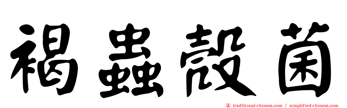 褐蟲殼菌