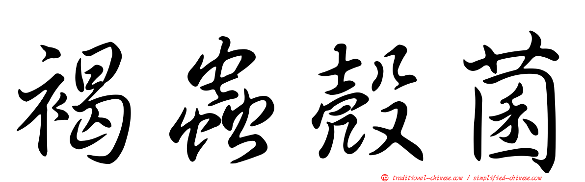 褐蟲殼菌