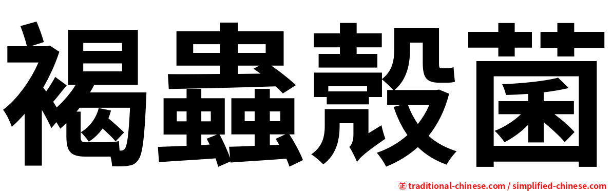 褐蟲殼菌