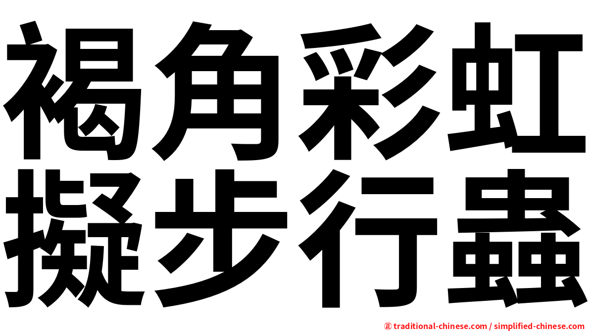 褐角彩虹擬步行蟲