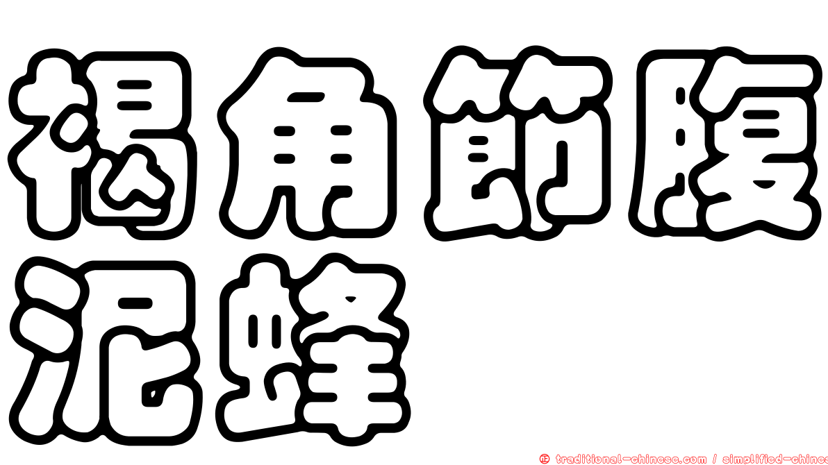 褐角節腹泥蜂