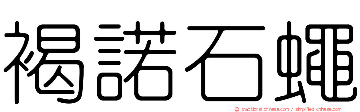 褐諾石蠅