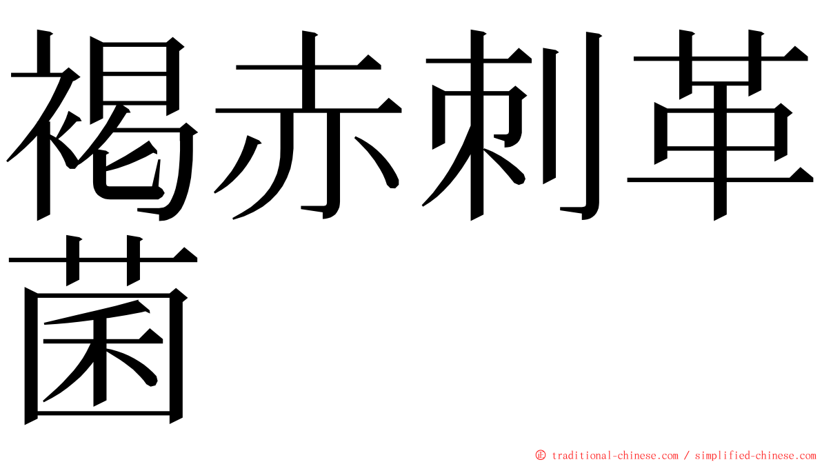 褐赤刺革菌 ming font