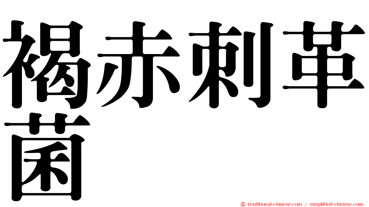 褐赤刺革菌