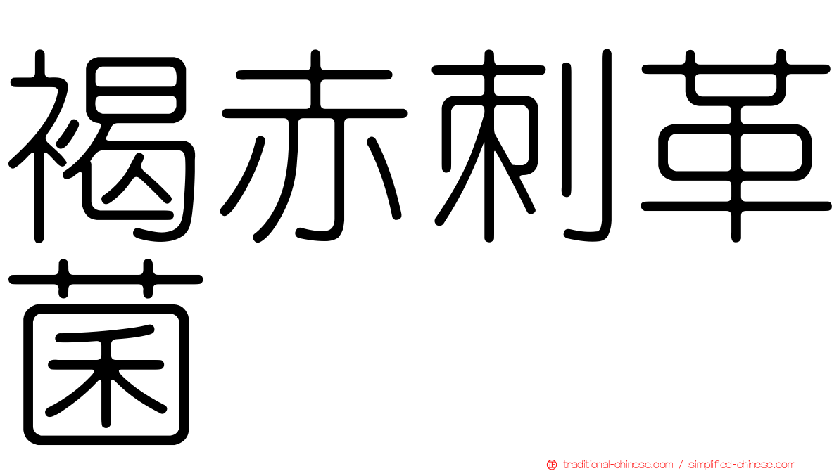 褐赤刺革菌