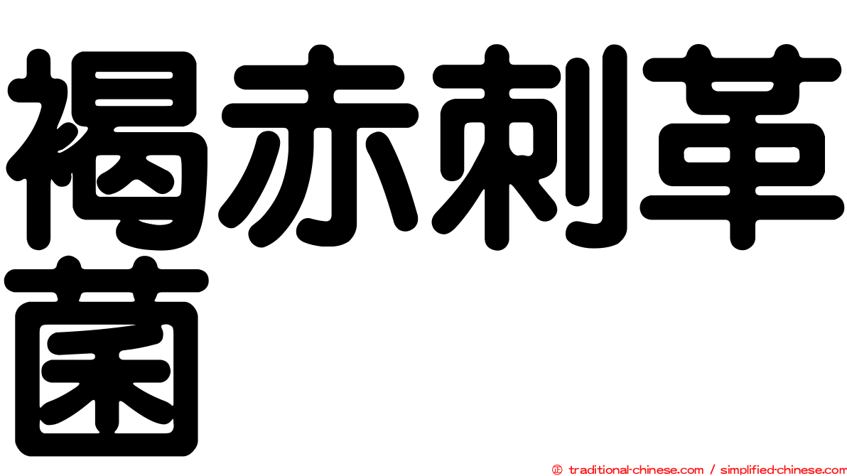 褐赤刺革菌