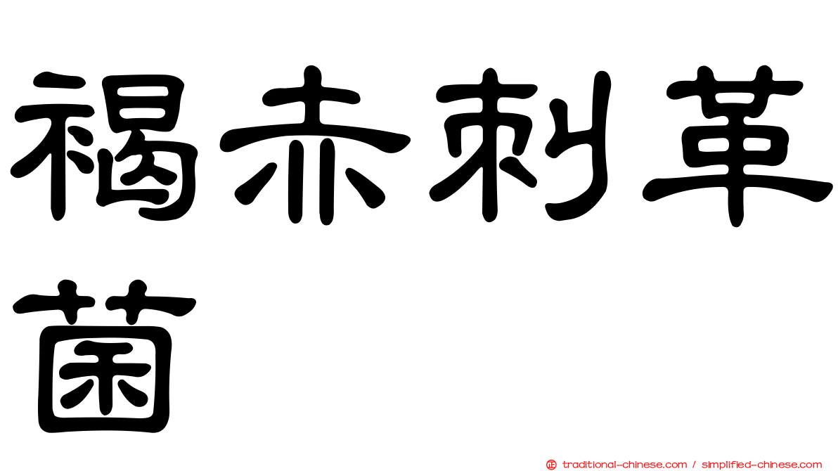 褐赤刺革菌