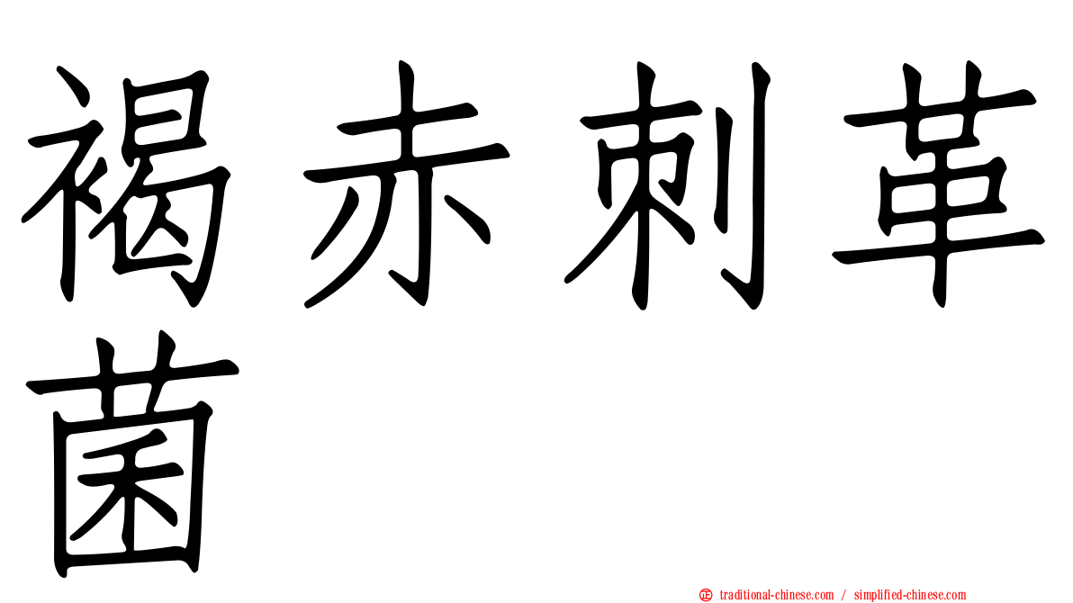 褐赤刺革菌