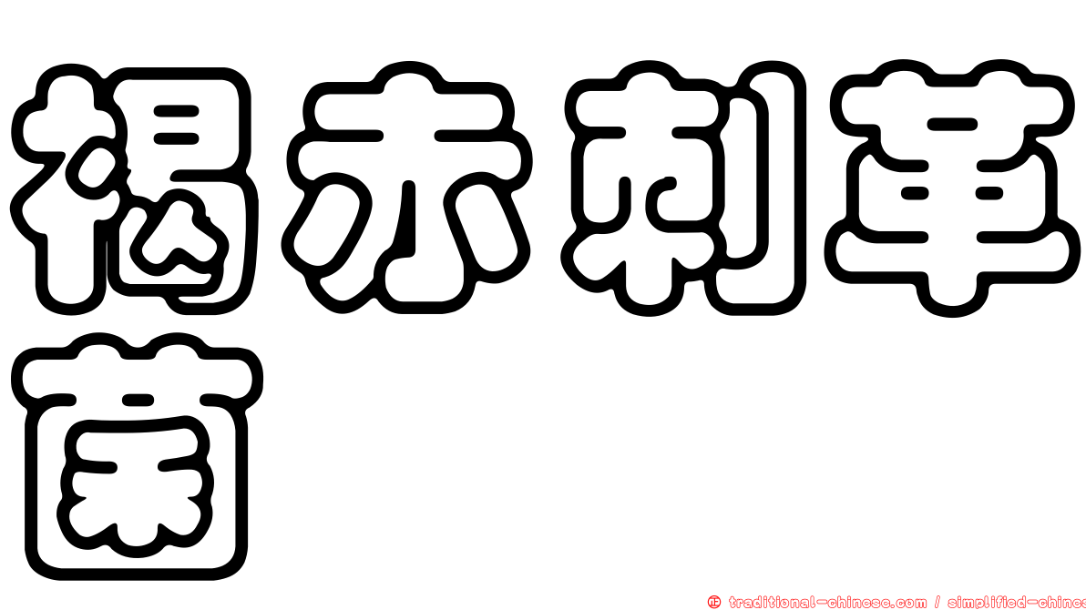 褐赤刺革菌