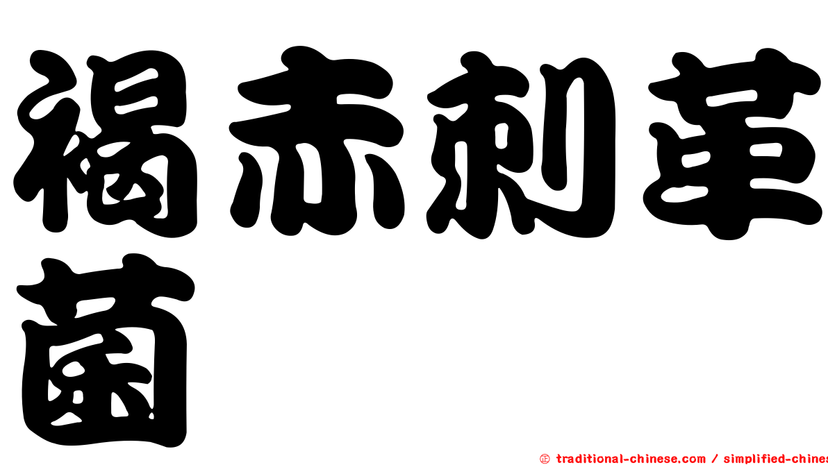 褐赤刺革菌