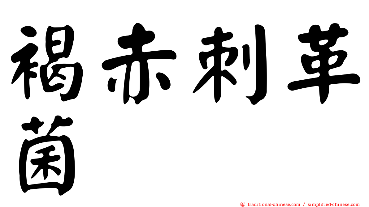 褐赤刺革菌