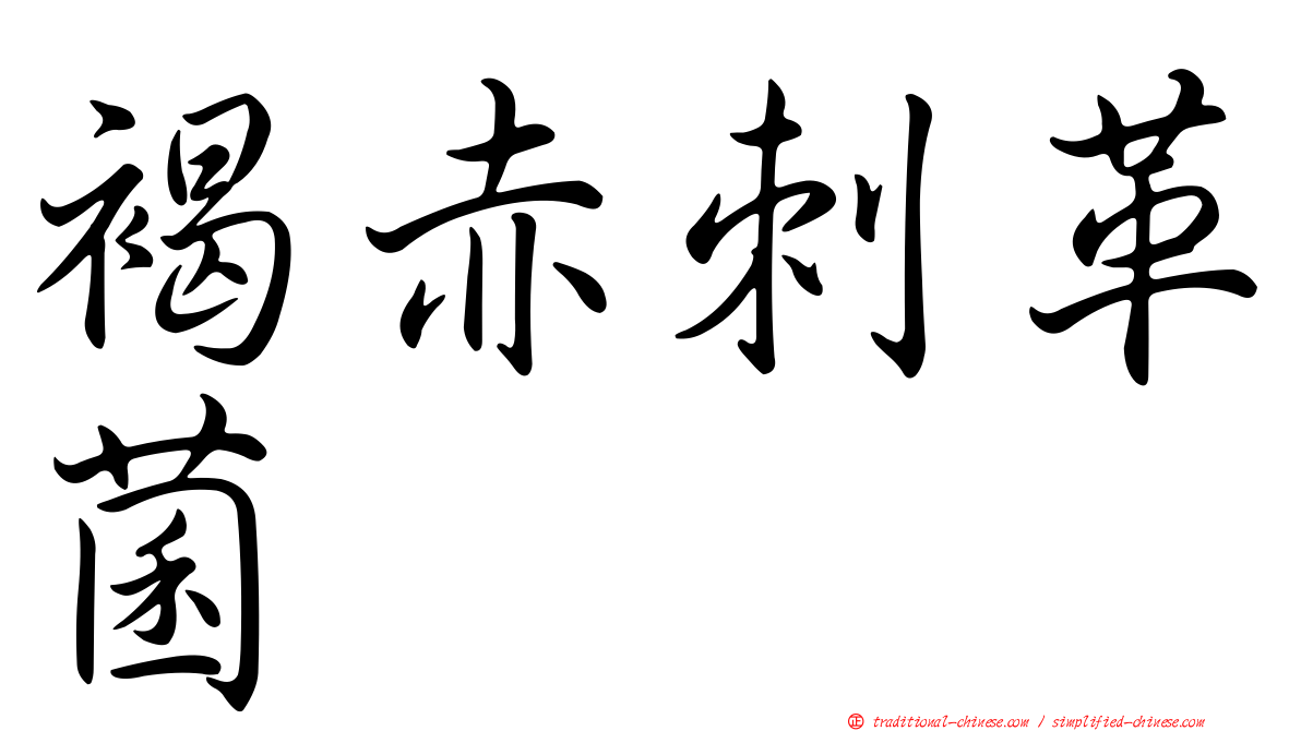 褐赤刺革菌