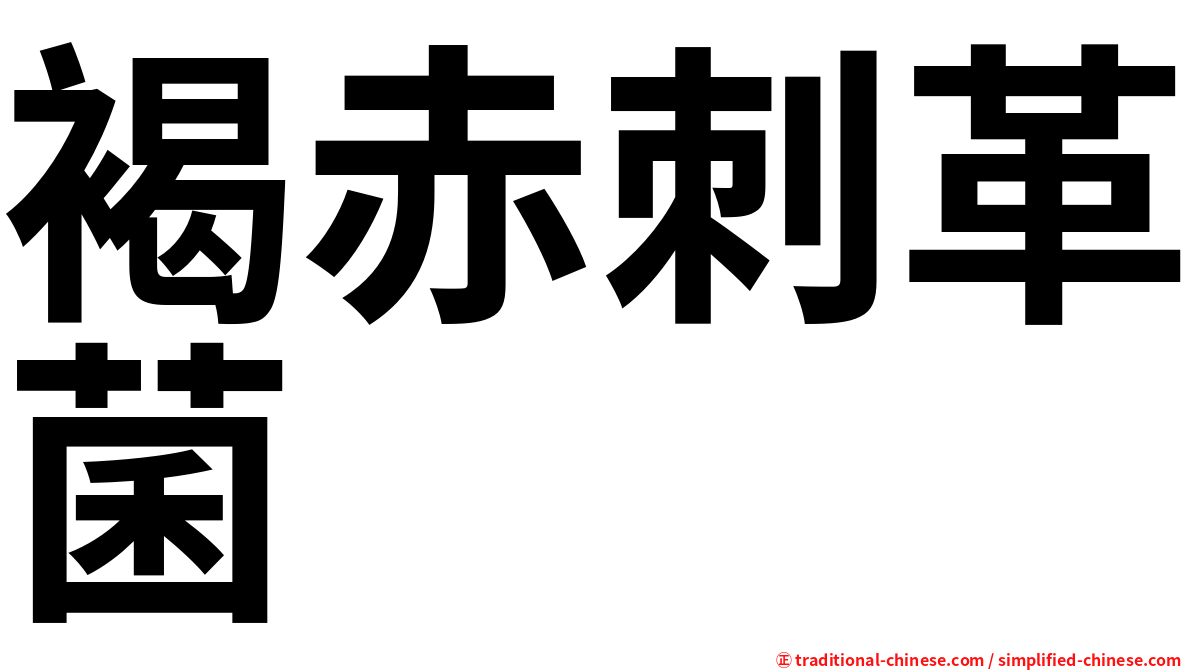 褐赤刺革菌