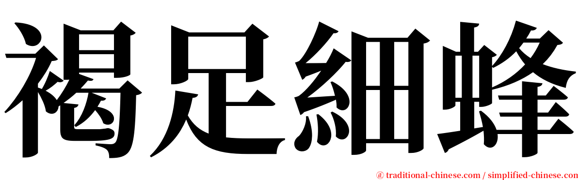 褐足細蜂 serif font