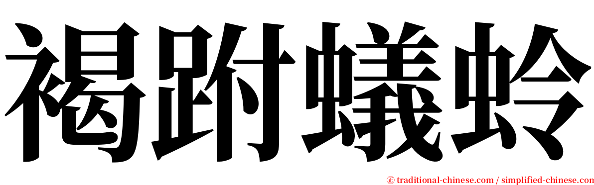 褐跗蟻蛉 serif font