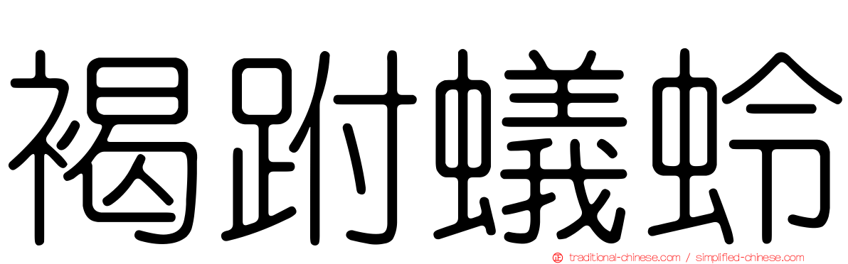 褐跗蟻蛉