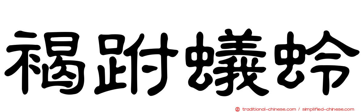 褐跗蟻蛉
