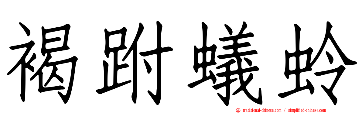 褐跗蟻蛉