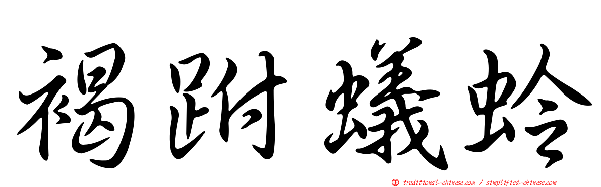 褐跗蟻蛉