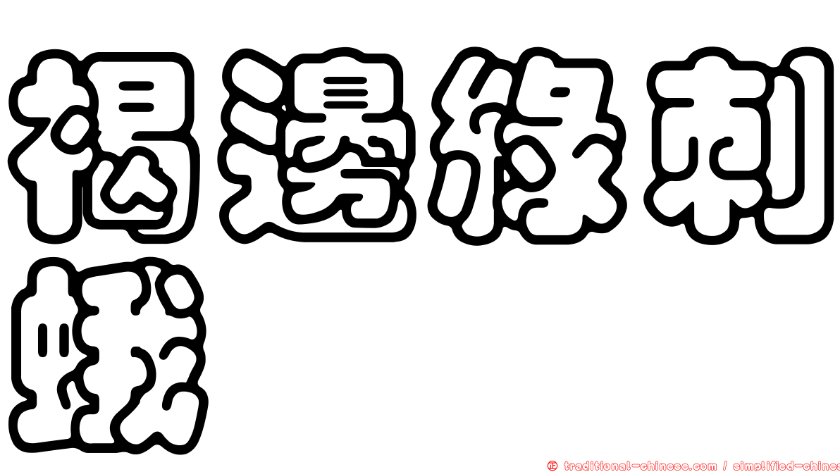褐邊綠刺蛾