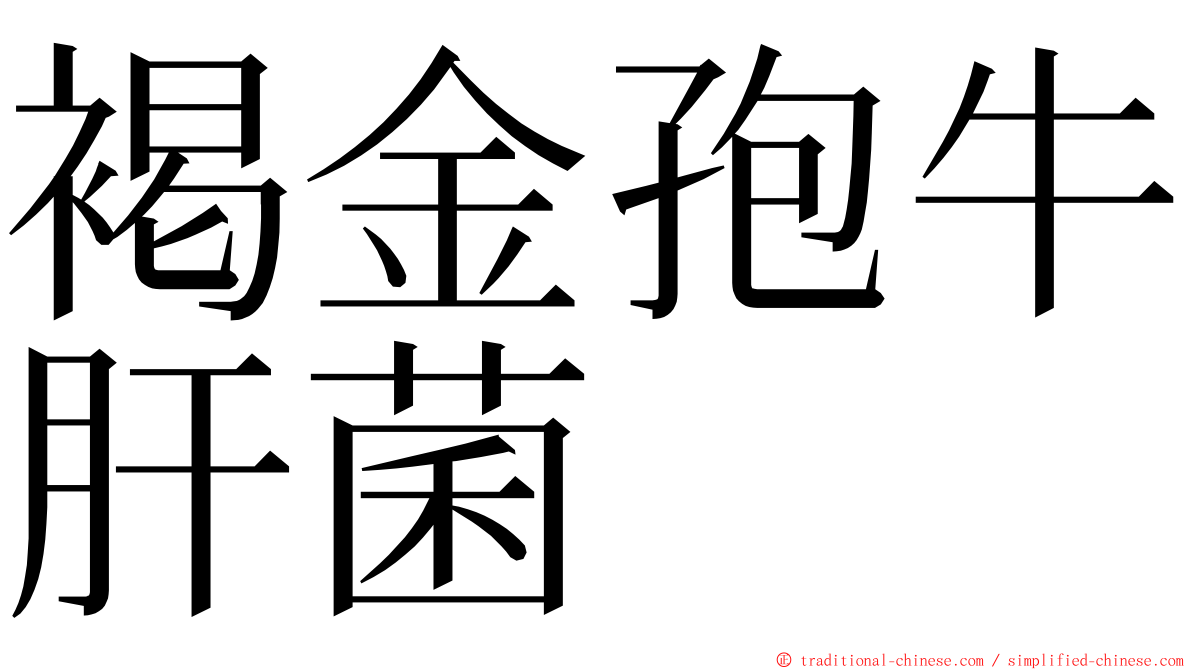 褐金孢牛肝菌 ming font