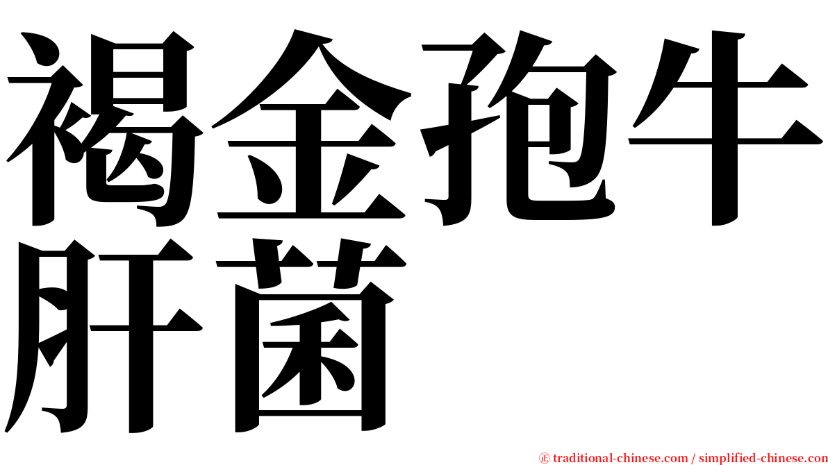 褐金孢牛肝菌 serif font