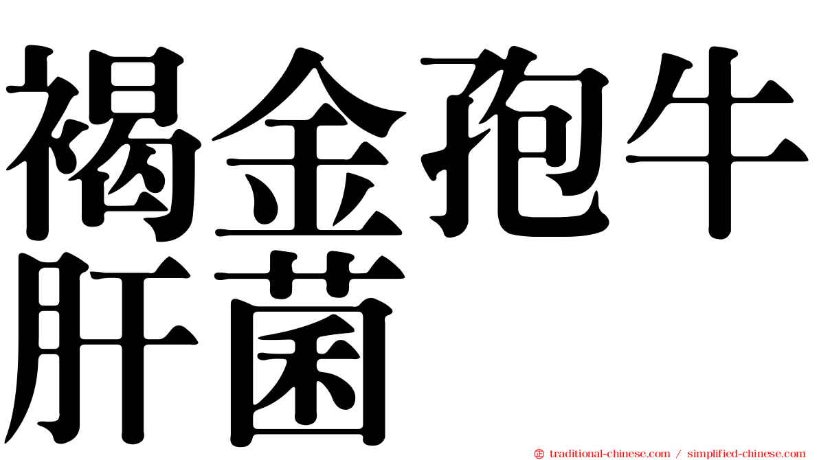 褐金孢牛肝菌