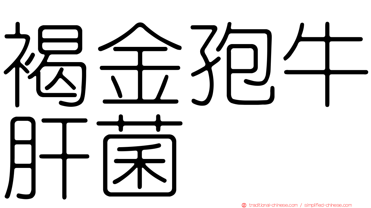 褐金孢牛肝菌
