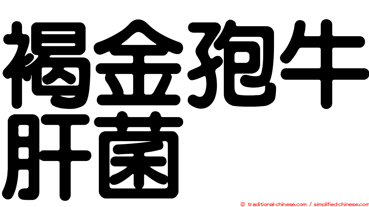 褐金孢牛肝菌
