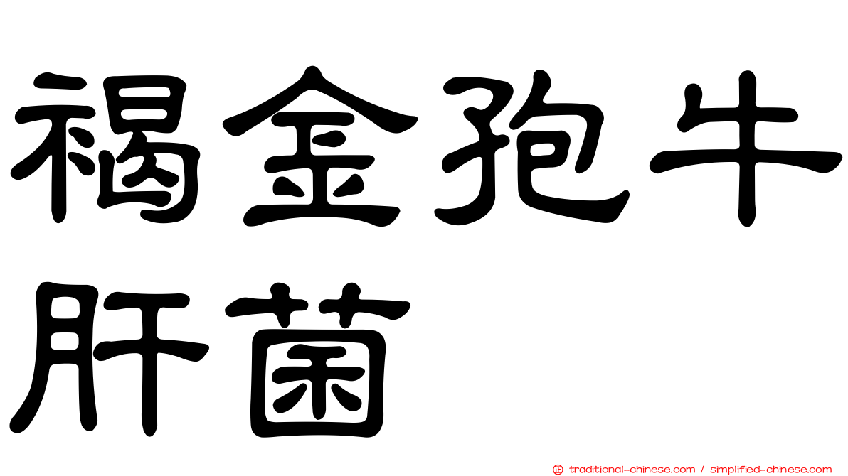 褐金孢牛肝菌