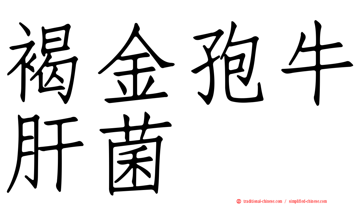 褐金孢牛肝菌