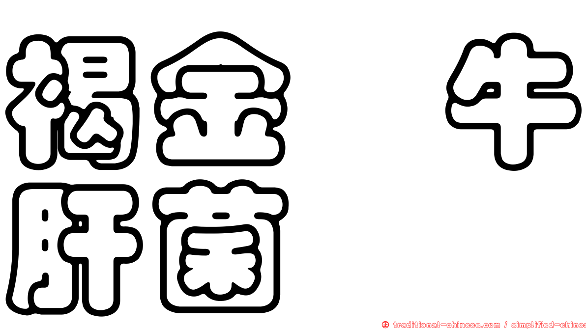 褐金孢牛肝菌