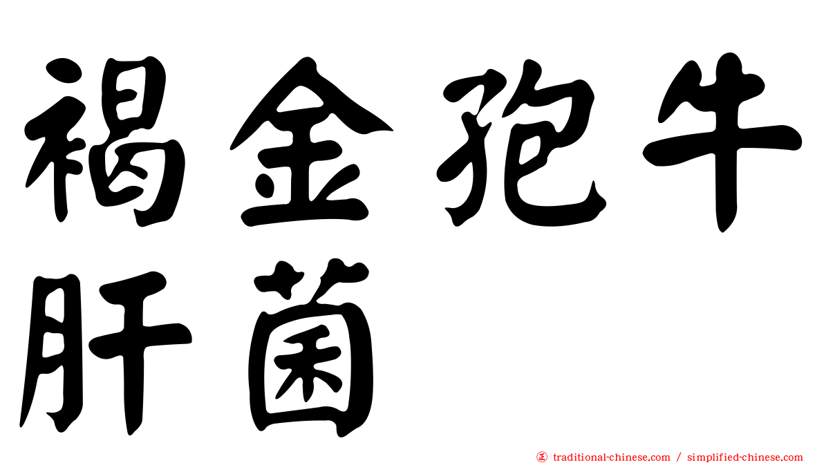 褐金孢牛肝菌