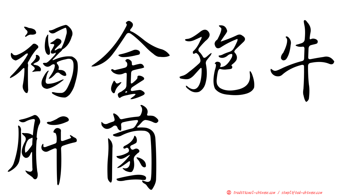 褐金孢牛肝菌