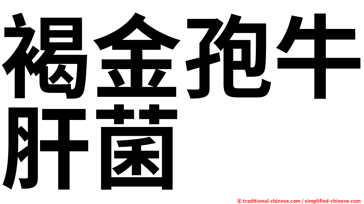 褐金孢牛肝菌