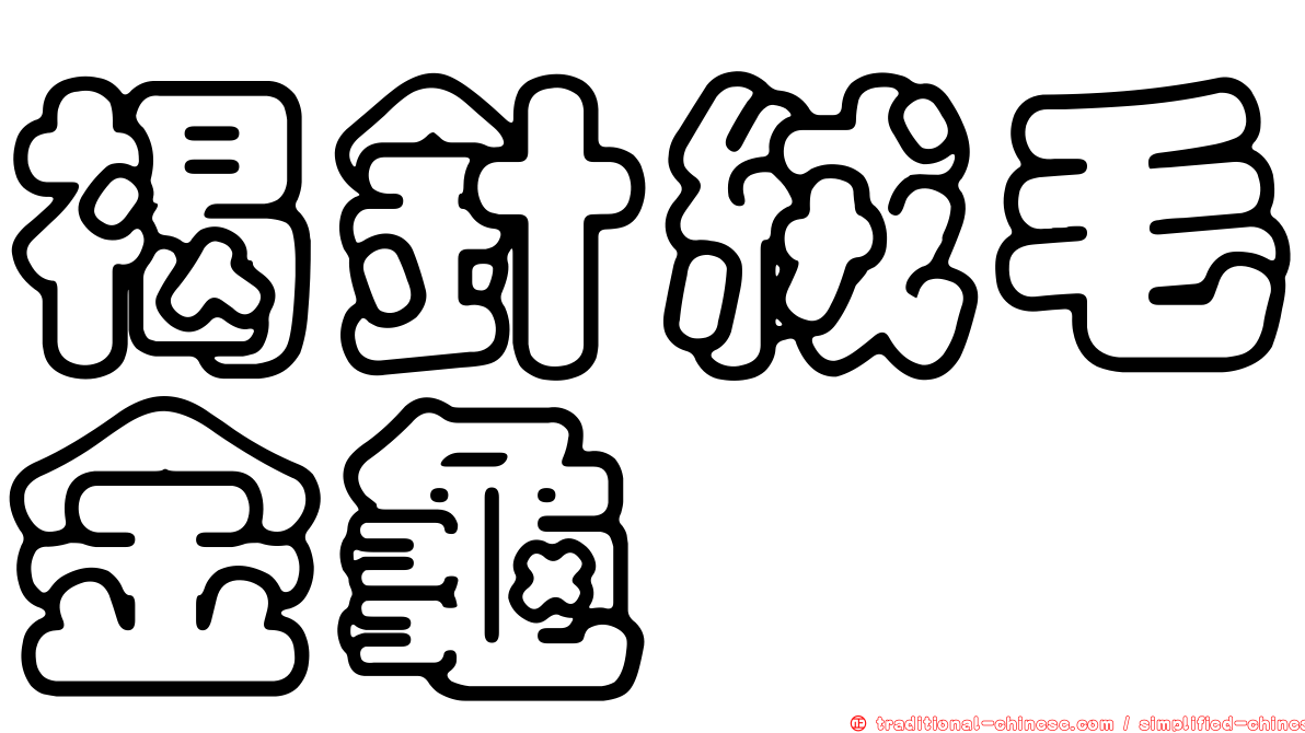 褐針絨毛金龜