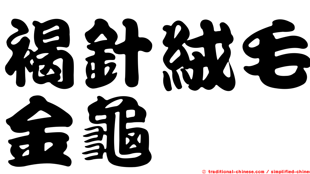 褐針絨毛金龜