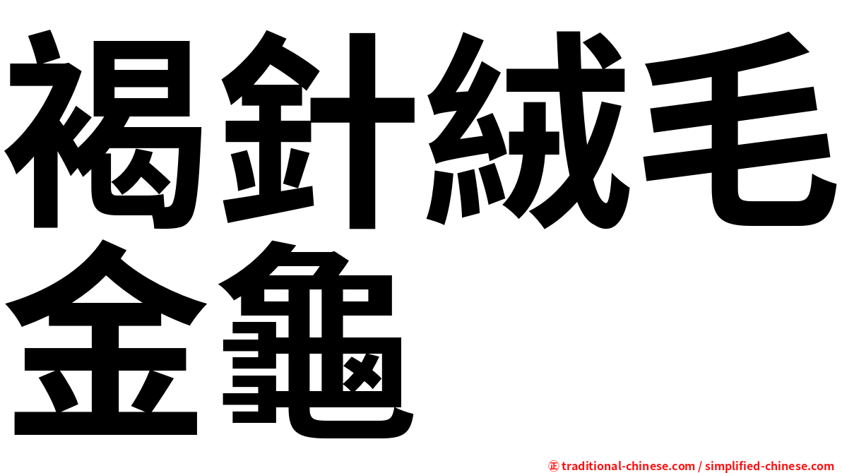 褐針絨毛金龜