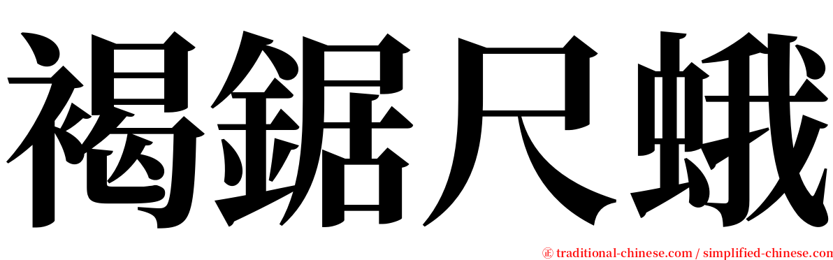 褐鋸尺蛾 serif font