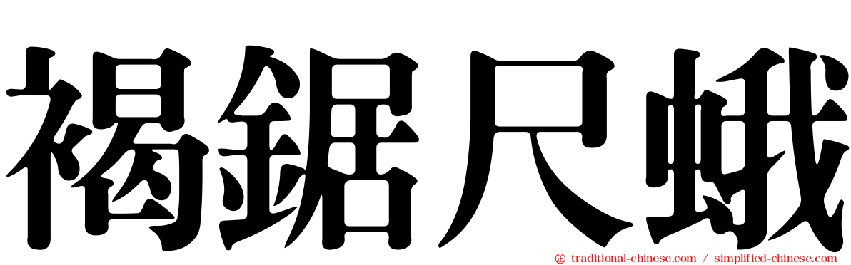 褐鋸尺蛾